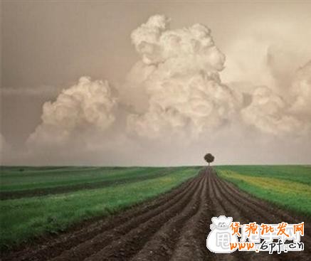 這個(gè)時(shí)代電商運(yùn)營(yíng)已經(jīng)忘記了初心！