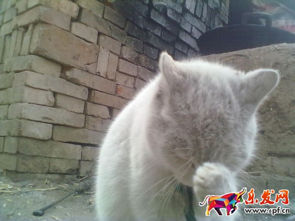 淘寶開店主關鍵詞排名下降怎么救？