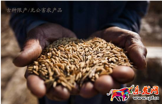 淘寶經驗