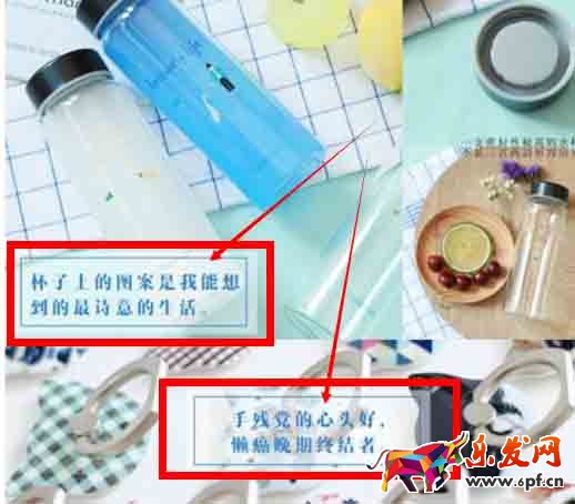 粉絲經濟模式