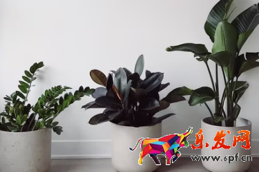 淘寶店企業(yè)店鋪開(kāi)店流程是什么？要多少費(fèi)用？