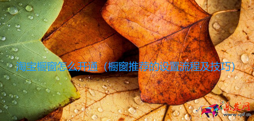 淘寶櫥窗怎么開通（櫥窗推薦的設置流程及技巧）